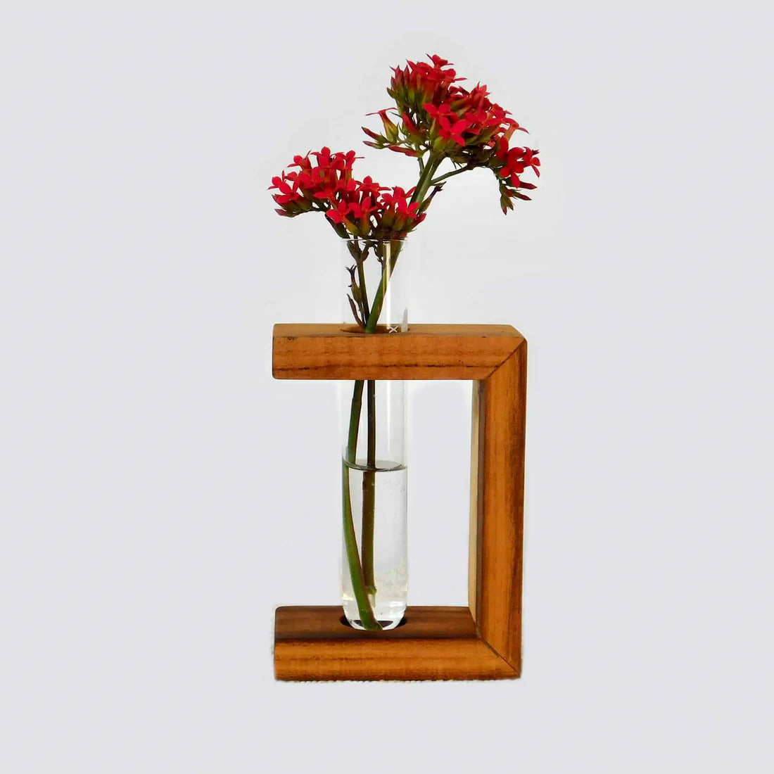 Teak Propagation Vase Collection - Crescent, Half-Square, and Triangle Designs