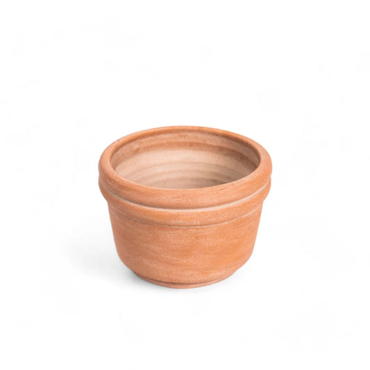 Terracotta Planters in Various Sizes