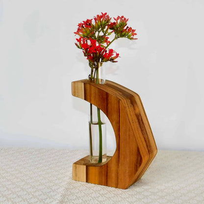 Teak Propagation Vase Collection - Crescent, Half-Square, and Triangle Designs