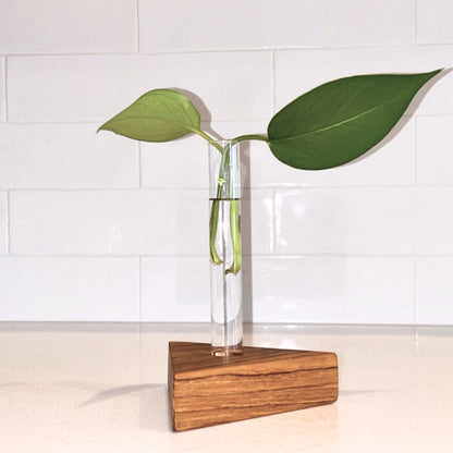 Teak Propagation Vase Collection - Crescent, Half-Square, and Triangle Designs